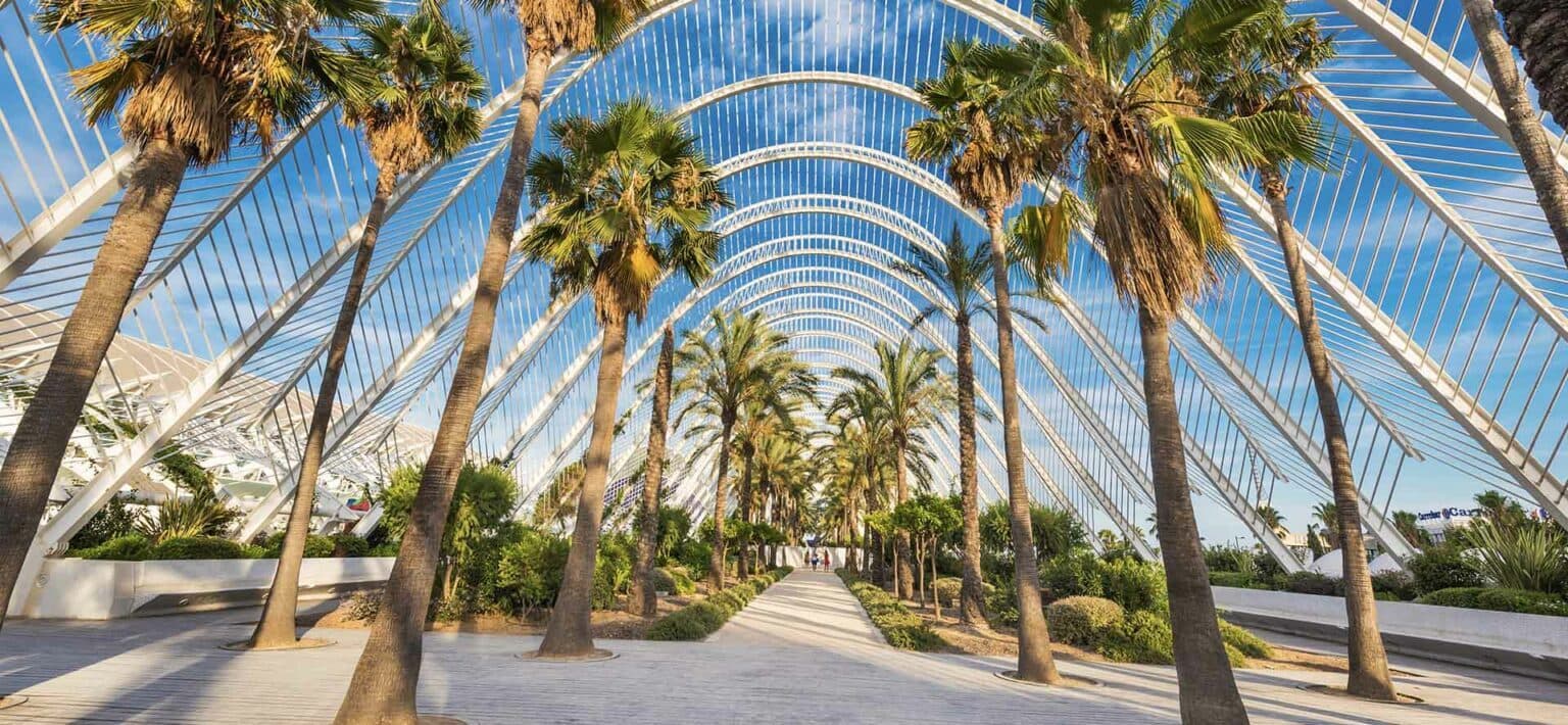 El paseo de L'Umbracle en la Ciudad de las Artes y las Ciencias de Valencia, flanqueado por palmeras
